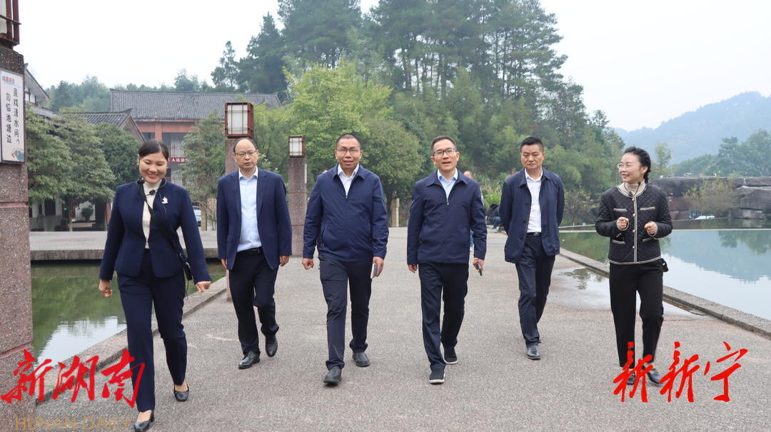 央媒省媒记者考察团来新采访报道特色亮点工作_邵阳头条网